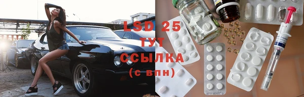 ПСИЛОЦИБИНОВЫЕ ГРИБЫ Аркадак