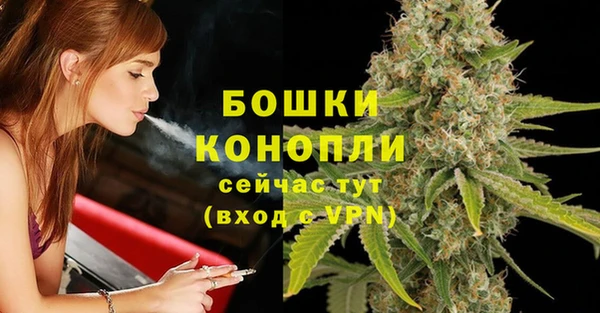 прущие крисы Армянск