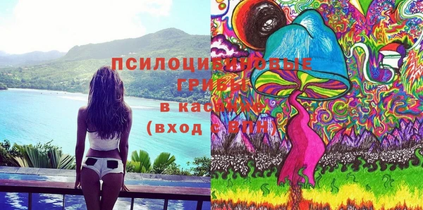 ПСИЛОЦИБИНОВЫЕ ГРИБЫ Аркадак