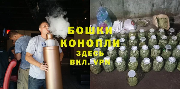 ПСИЛОЦИБИНОВЫЕ ГРИБЫ Аркадак