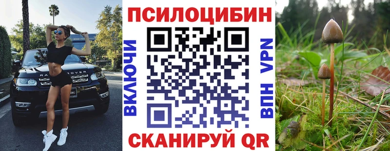 Псилоцибиновые грибы MAGIC MUSHROOMS Асбест